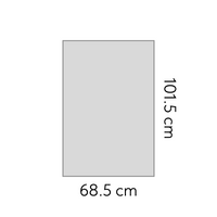 68,5 x 101,5 cm